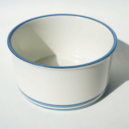 グスタフスベリ ダート(Dart)大ボウル - 全体像