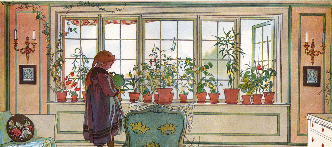 カール・ラーション《花咲く窓辺》。窓辺の鉢植えに水をやる娘（『わたしの家』より）