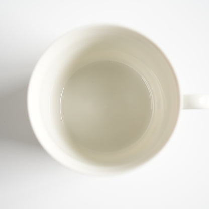 Rare Size Roll Strand Sylvia Tea Cup &amp; Saucer