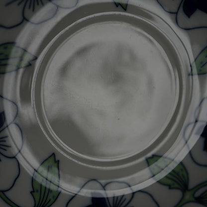 Rare Size Roll Strand Sylvia Tea Cup &amp; Saucer