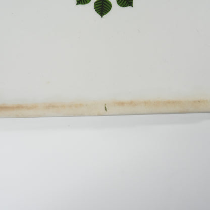 大珍品 グスタフスベリ ベルサ（Berså）ソルトボックス