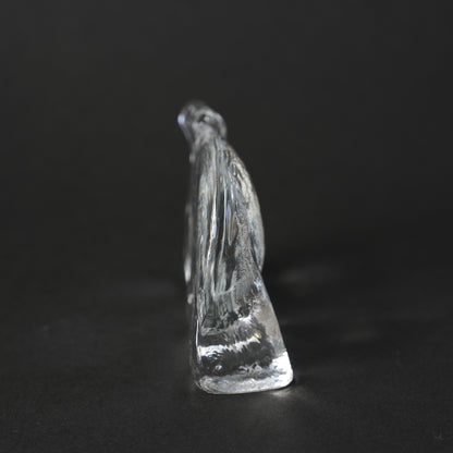 维特尔 Valeen Kosta Boda 玻璃罩“Frodhast”