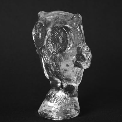 维特尔 Valeen Kosta Boda 大玻璃猫头鹰