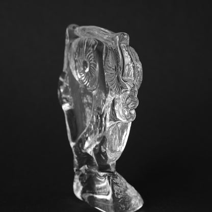 维特尔 Valeen Kosta Boda 大玻璃猫头鹰