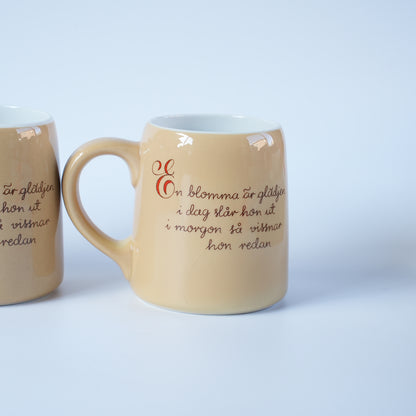 5点揃い＋1点オマケ アラビア ケスティ（Kesti）絵柄違い ビアマグカップ セット - 画像24