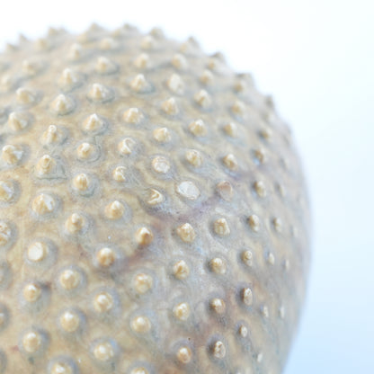 珍品 リサ・ラーソン（Lisa Larson）WWE ハリネズミ（Igelkott）スタジオサンプル