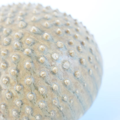 珍品 リサ・ラーソン（Lisa Larson）WWE ハリネズミ（Igelkott）スタジオサンプル - 19