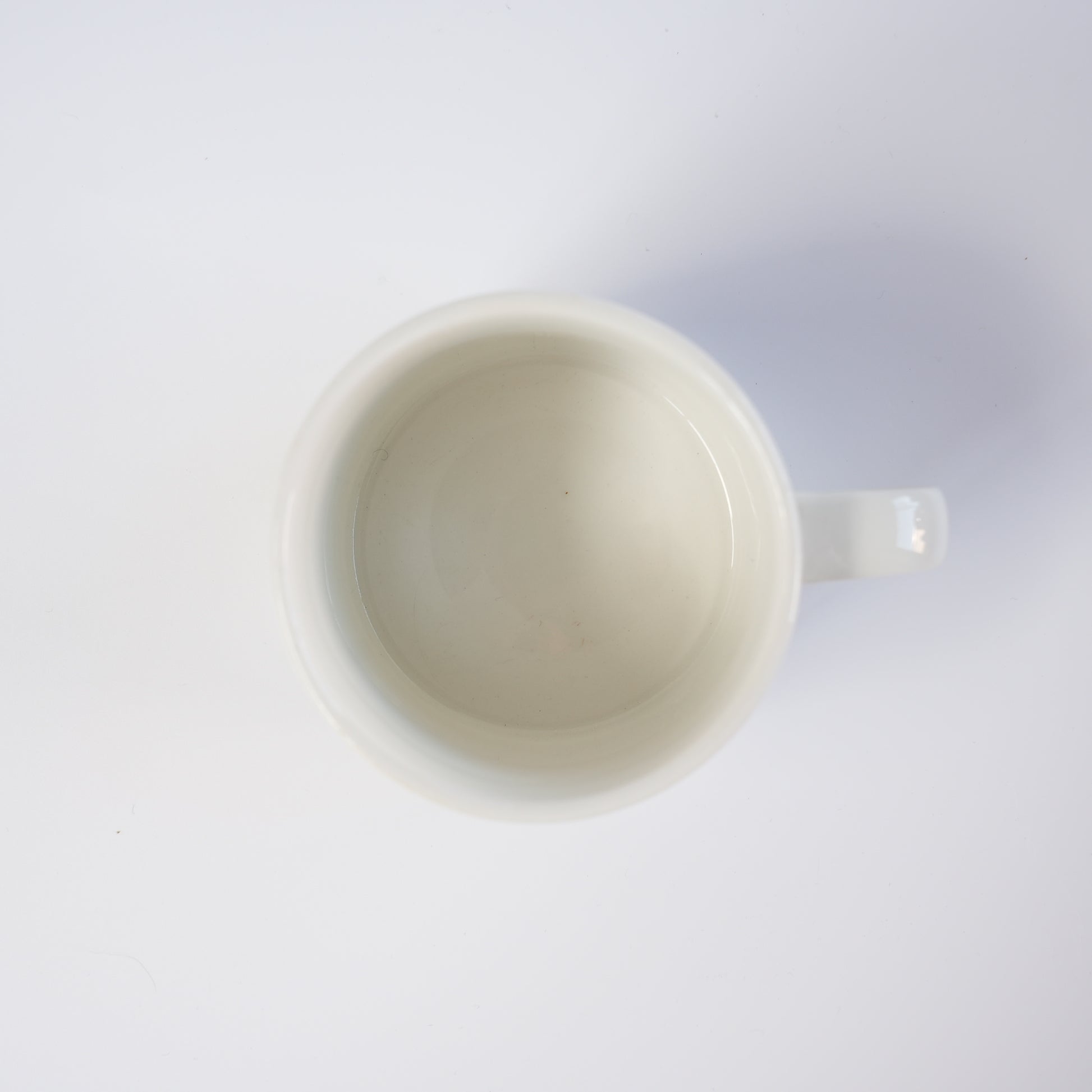 訳あり品【ヴィオラロゴ】アラビア（ARABIA）パラティッシ（Paratiisi）ティーカップ＆ソーサー - 12