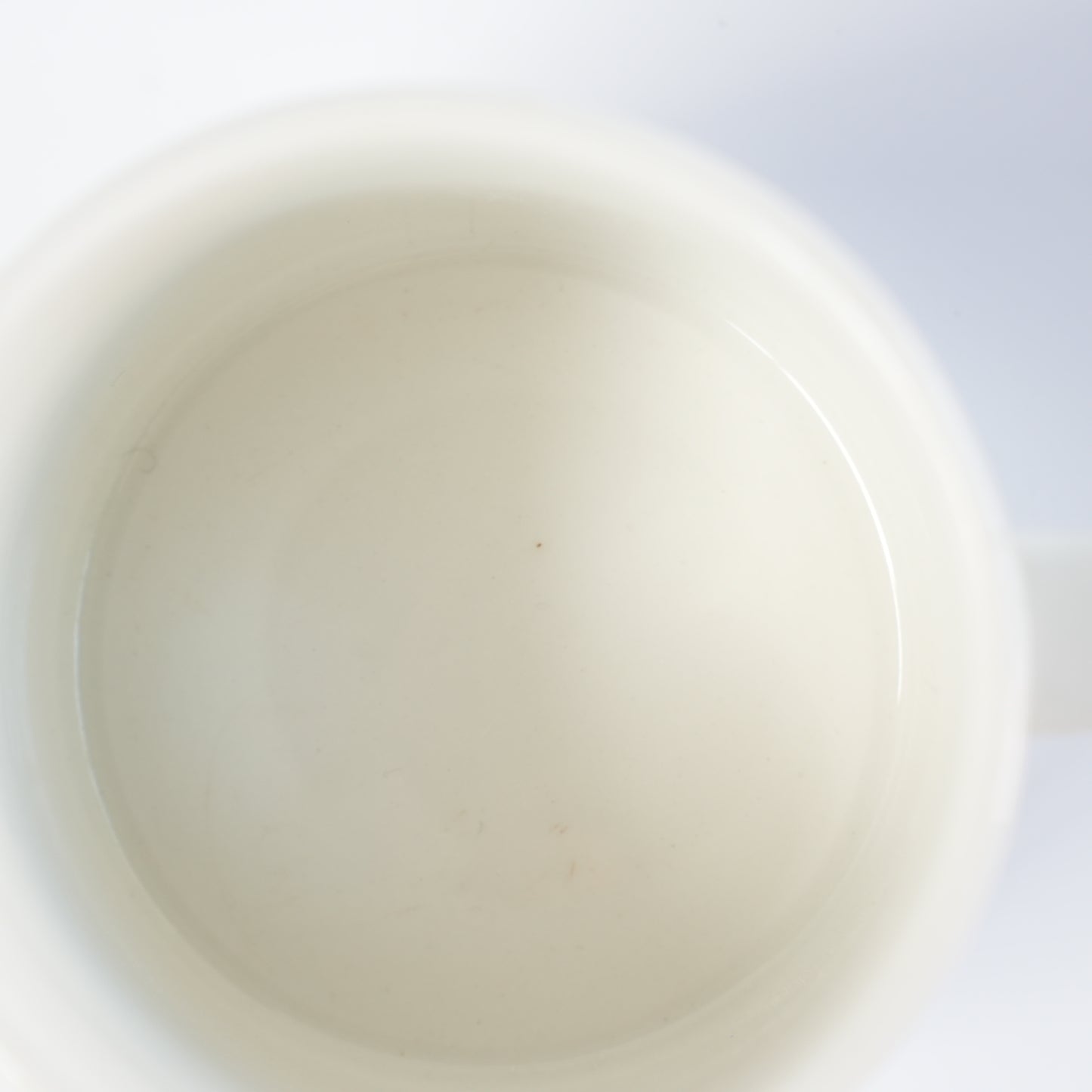 訳あり品【ヴィオラロゴ】アラビア（ARABIA）パラティッシ（Paratiisi）ティーカップ＆ソーサー - 13