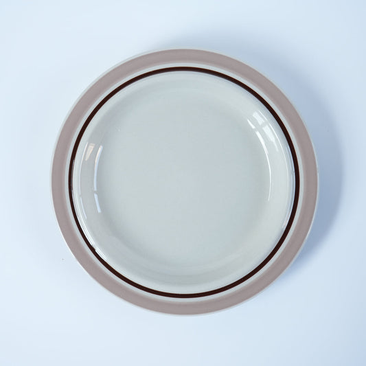 アラビア コラーリ（Koralli）20cmプレート - 全体像